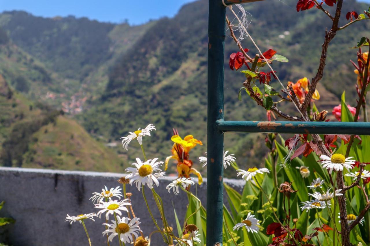 Casas Tipicas Candelaria Tabua 蓬他达维托亚 外观 照片