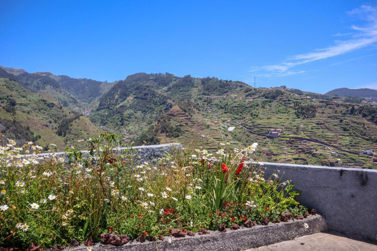 Casas Tipicas Candelaria Tabua 蓬他达维托亚 外观 照片